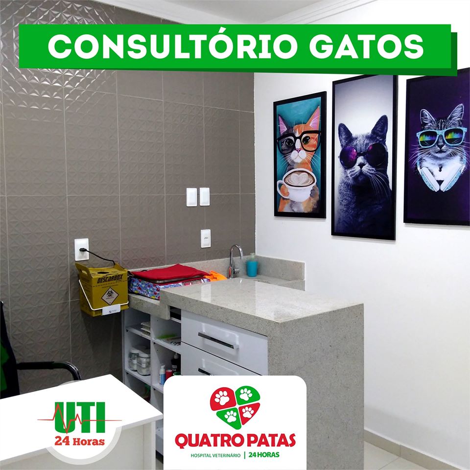 Consulta