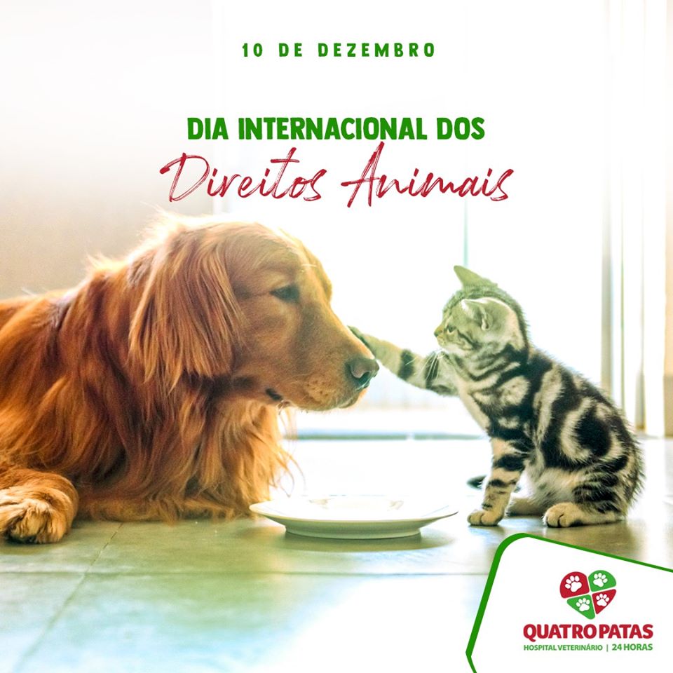 Direitos dos Animais - Direitos dos Animais